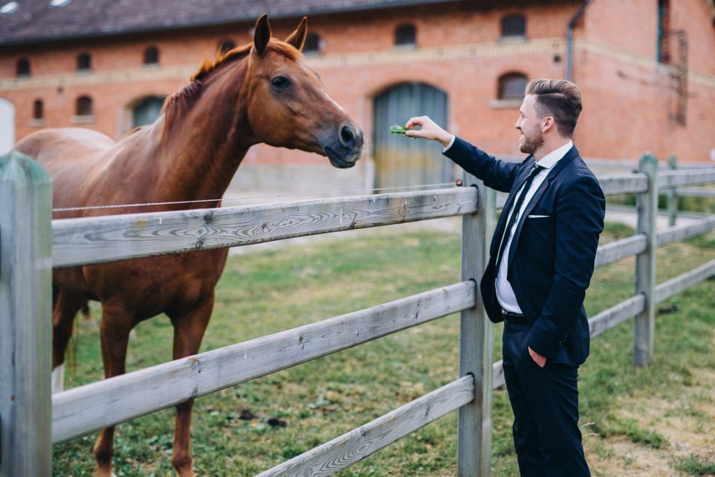 Bräutigam füttert Pferd Magical Homes
